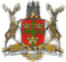 Nottingham City Large Pin