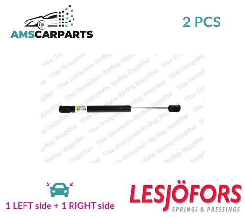 Tailgate boot struts - struts, rear