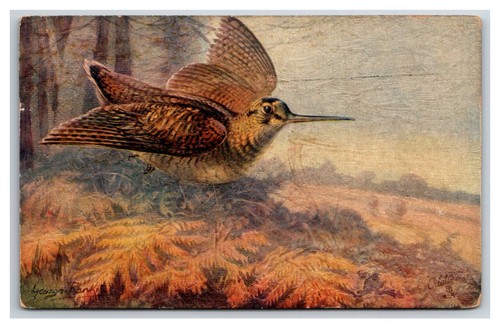 Tuck oilette game birds - game,