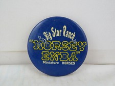 Vintage Horse Pin - Big Star