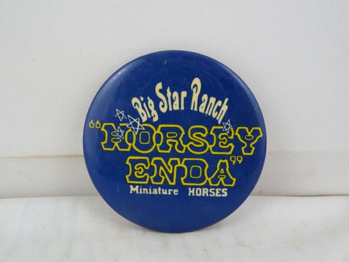 Vintage horse pin big star - vintage,