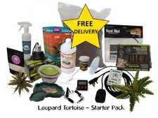 Leopard Tortoise Starter Kit