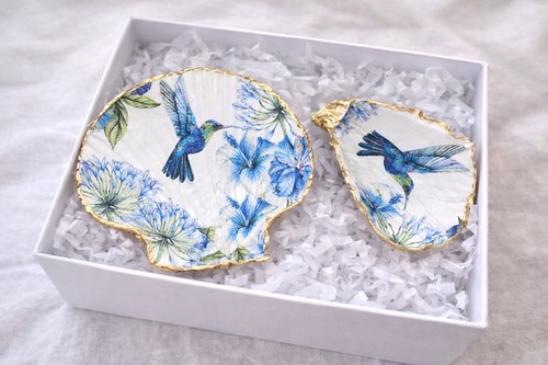 Beautiful humming bird - humming, shell