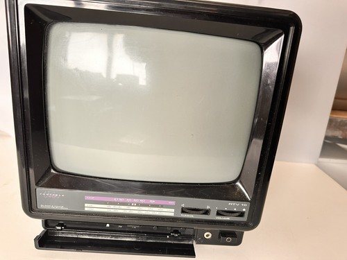 Black and white - 10", portable
