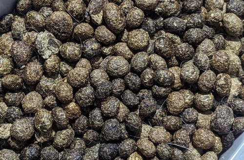 Organic cold manure rabbit - organic,