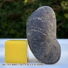 Ichthyosaur Fossil Coprolite