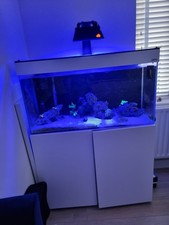 complete marine set up aquael