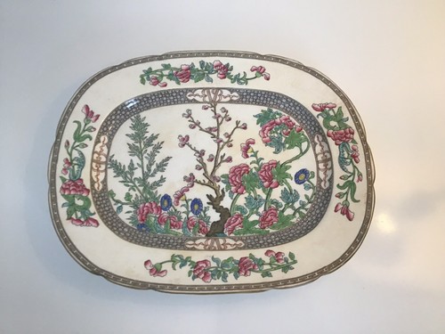 Coalport indian tree rare - coalport,