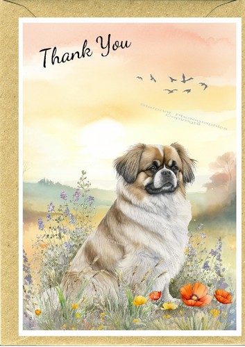 Tibetan spaniel dog thank - spaniel, you