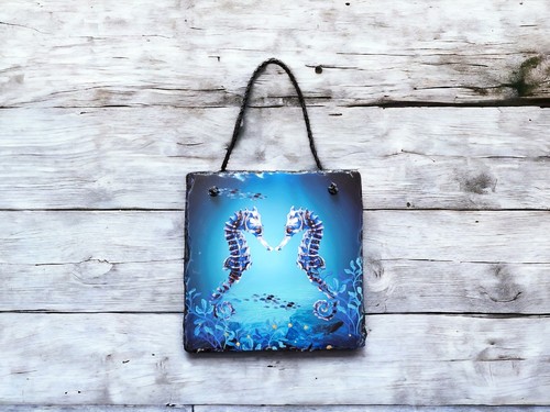 Seahorse picture - seahorse, picture,