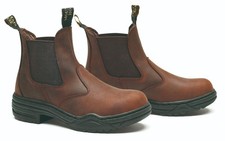 Mountain Horse Stable Jodhpur