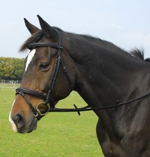 Heritage English Horse Pony