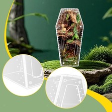 Acrylic Spider Enclosure Ventilated Breeding Box Small Vivarium Spider Tank