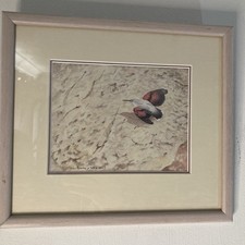 Original John Reaney Bird Watercolour 2008 Framed Wildlife Art 27x24cm