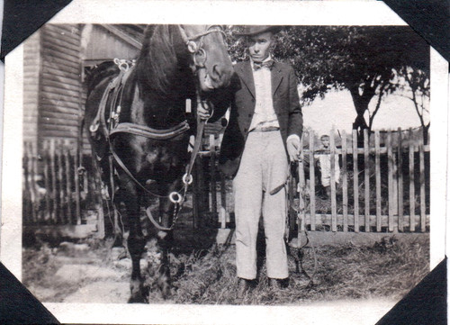 Old photograph horse farm - old,