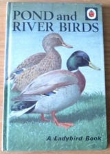 Vintage Ladybird Book POND and