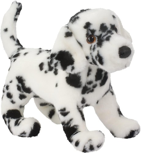 Douglas winston dalmatian - douglas,
