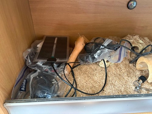 Large vivarium with all - large,