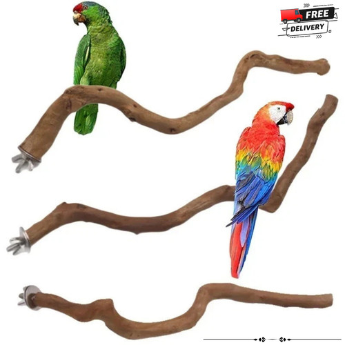 Parrot stand natural - -, bird