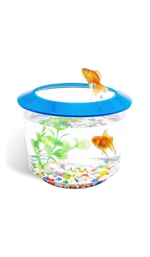 Blue small fish tank - blue, starter