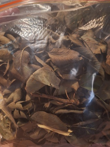 100g pear leaf - natural, forage
