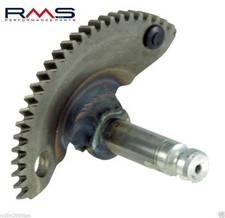 Engine starting sector - , piaggio