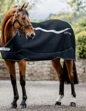 Horseware Ireland Dry Liner MINI Rug Shetland Falabella Foal 3’3 NWOT