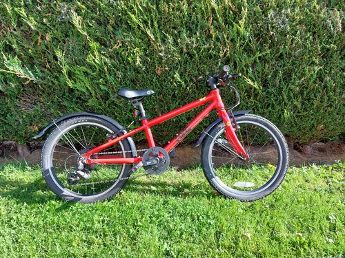 Frog child bike - frog,