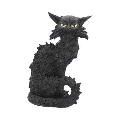 Large black cat - black, witches