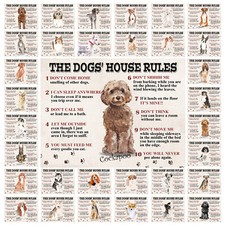The Dogs House Rules Metal Tin