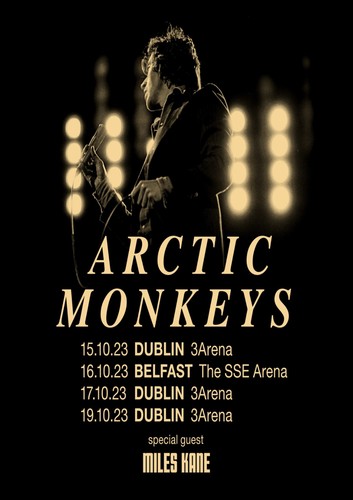 Arctic monkeys dublin - arctic,