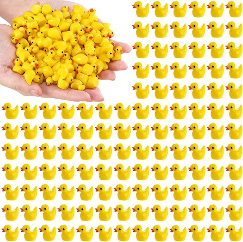 Mini resin ducks set - mini,