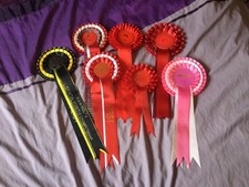 Horse Show Rosettes