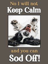 Springer Sprocker Spaniel  Puppy Dog Funny Fridge Magnet Christmas Gift