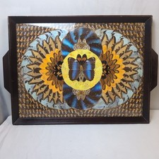 Butterfly Wing Iridescent Wood