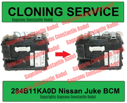 Bcm cloning service for - cloning,