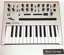 KORG monologue Silver Analog