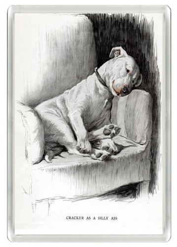 Bull terrier dog fridge magnet - terrier,