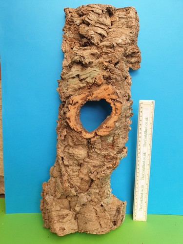 Cork bark flats basking - cork,