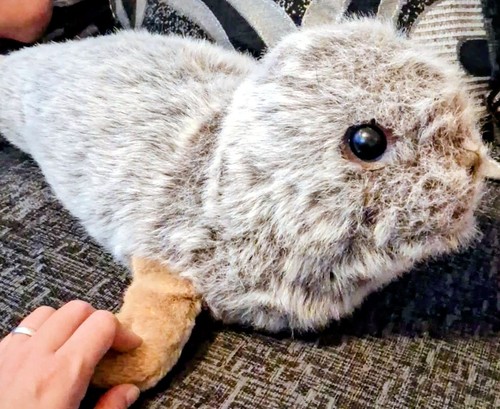 Merrythought vintage seal pup - vintage,