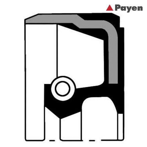 Shaft seal crankshaft payen - shaft, seal,