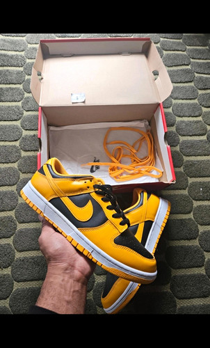 Nike dunk low retro - dunk,