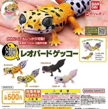BANDAI Ikimono Encyclopedia Leopard Gecko Lizard Japanese Gashapon Capsule 4 Toy