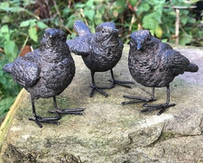 Wren bird ornaments 3 bronze effect figurines indoor outdoor garden decoration