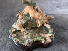 Large Country Artists Tiger