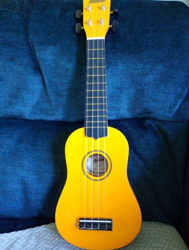 Ashton ukulele four string - ashton,