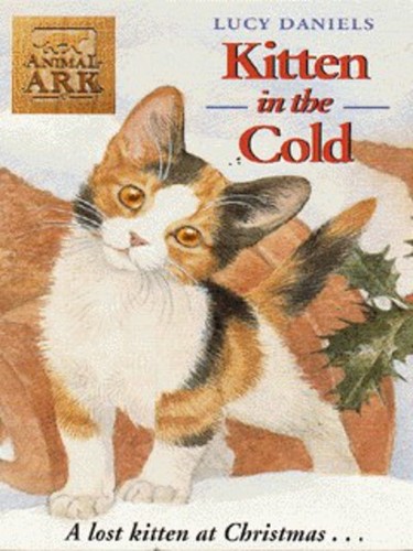 Kitten the cold - kitten,