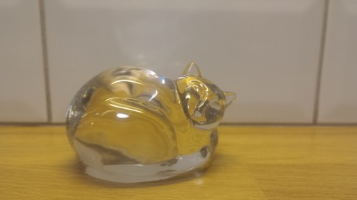 Clear glass sleeping - sleeping, cat