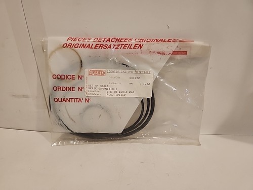 Fassi set seals gsc152 - fassi, of