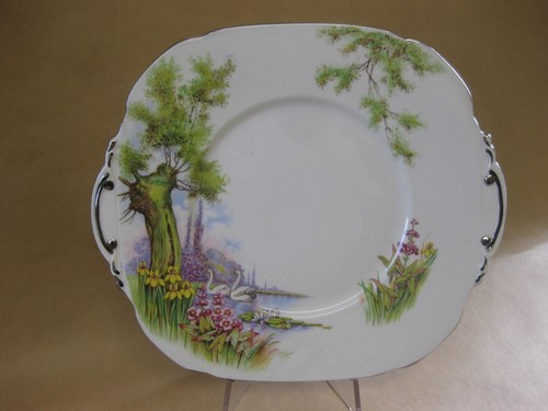 Vintage roslyn china - vintage,